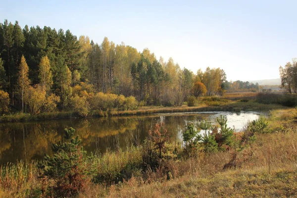 Der Herbst Kam Und Malte Bäume Und Sträucher Rund Den — Stockfoto