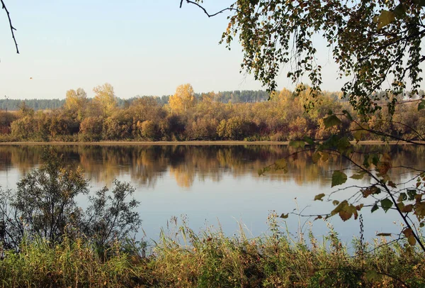 Calme Détente Émanent Incroyable Paysage Automnal Surface Eau Les Arbres — Photo