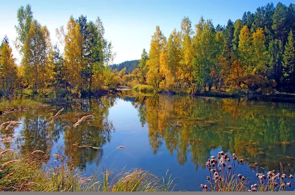 İnanılmaz gölün sularının durgun yüzeyinde, ağaçlar ve gökyüzü bir ayna gibi yansıtılır..