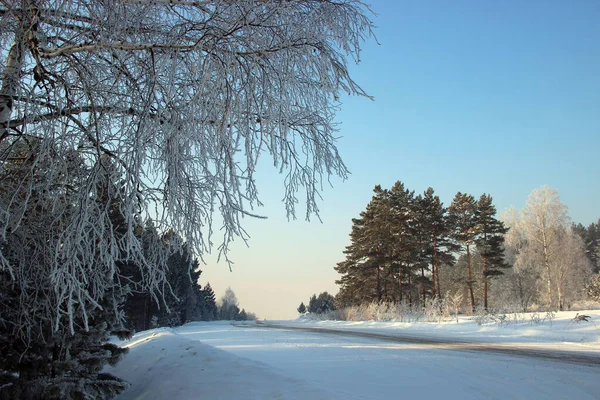 Estrada Inverno Correndo Pela Borda Floresta Para Nada Sob Céu — Fotografia de Stock