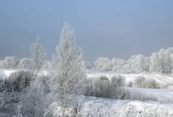 Arbustos Árvores Vestidos Geada Branca Estão Localizados Encosta Dos Terraços — Fotografia de Stock