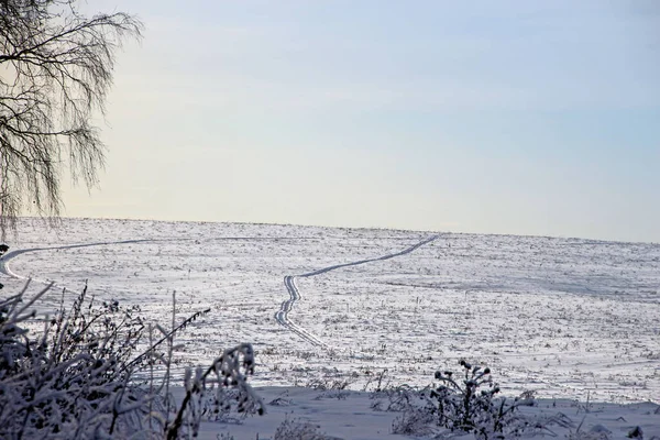 Karla kaplı tarladaki tekerleklerin izleri yamaçtan yukarı doğru kıvrımlı yılanlarla, ufka doğru ilerliyor..