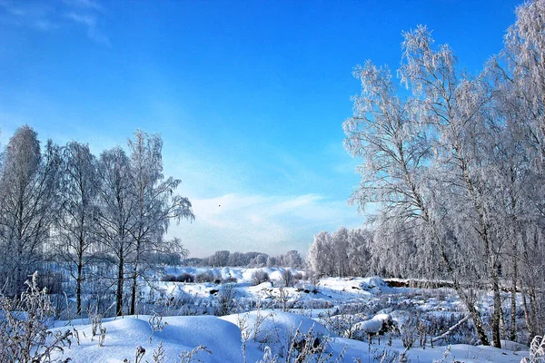 Açık bir kış günü. Açık mavi gökyüzü. Ağaçların dallarında birkaç huş ağacı ve kar parıldıyor..