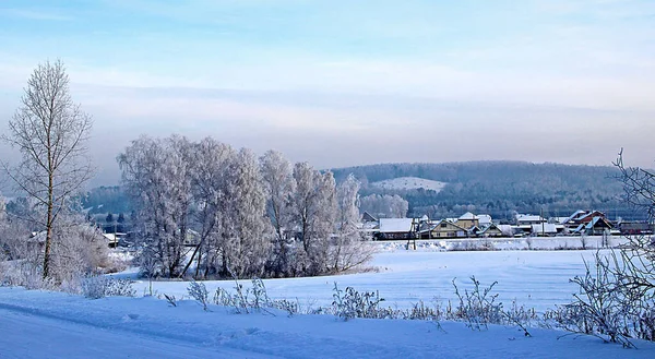 Parlak kış manzarası: donmuş bir nehrin kıyısındaki köy evleri ormanlık bir dağın arka planına karşı.