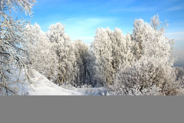Açık kış günü. Açık mavi gökyüzü. Kar, ağaç dallarında öyle parlıyor ki, gözleri acıtıyor..
