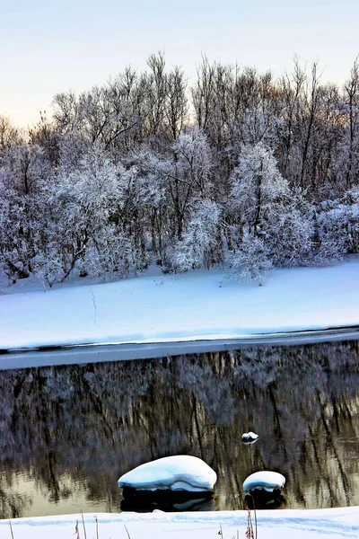 Paisagem Inverno Superfície Água Como Espelho Neve Coberto Reflexão Arbustos — Fotografia de Stock