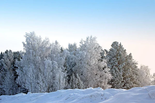 Ön planda kar yığınları var. Arka planda karla kaplı bir orman. Ve hepsinin üstünde bulutsuz bir gökyüzü.