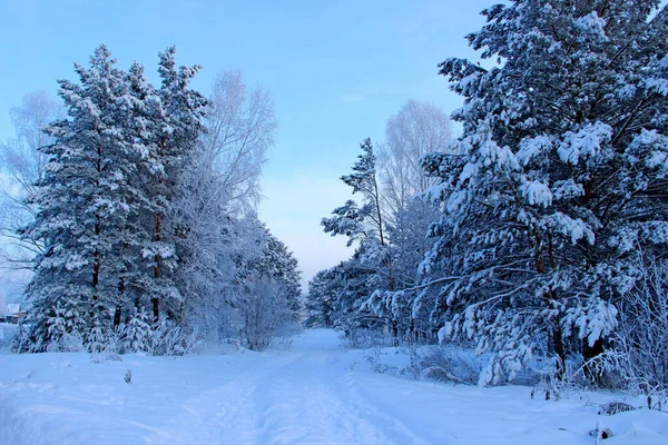 Mitten Bilden Vägen Täckt Med Snö Sidorna Vägen Finns Träd — Stockfoto