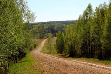 Toprak kahverengi yol ağaçların arasından boşluğa iner ve aniden ormanın en yoğun yerine yükselir..
