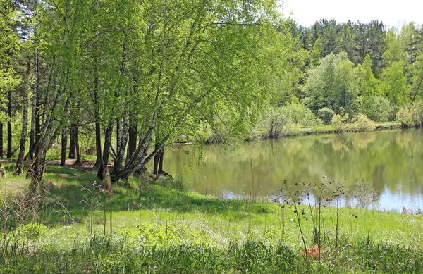 Vackert Vårlandskap Vid Sjön Bland Träden — Stockfoto