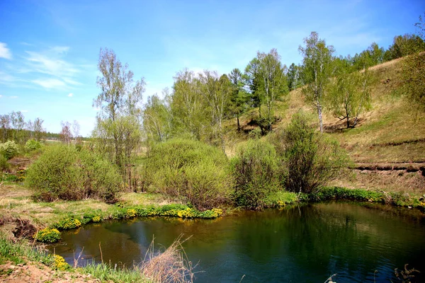 Vårens Landskap Liten Damm Nära Vägen Omgiven Träd Och Buskar — Stockfoto