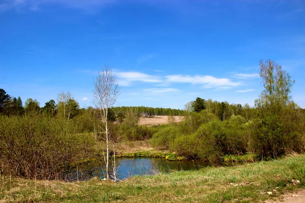 Vårens Landskap Liten Damm Nära Vägen Omgiven Träd Och Buskar — Stockfoto