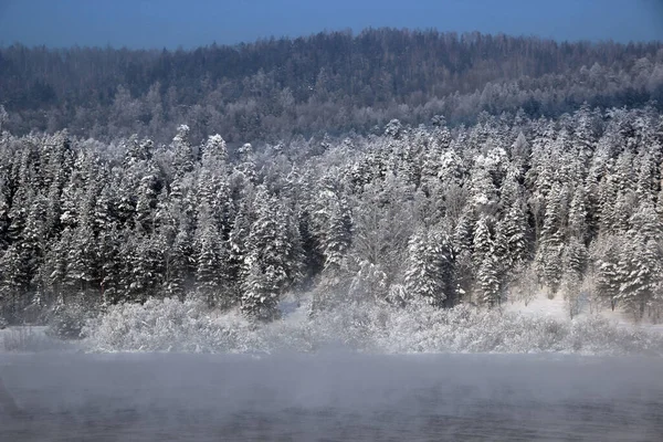 Arka planda, nehrin diğer kıyısında kozalaklı kış ormanı başlar. Her şey basit, güzel ve anlamlı. Ön planda - sudan yükselen sis.