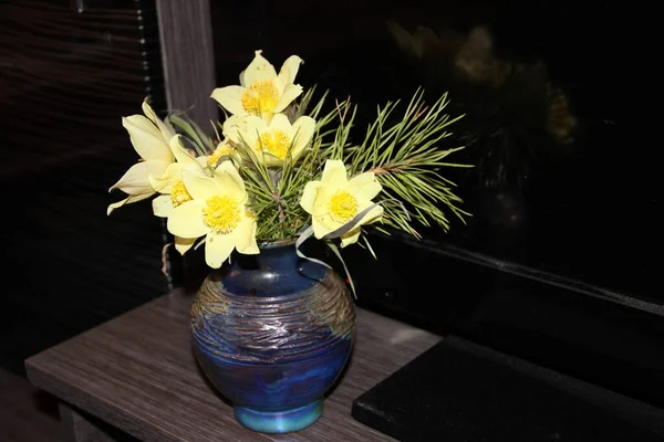 Güzel kar damlası ilkbaharda ortaya çıkan ilk çiçeklerden biridir.