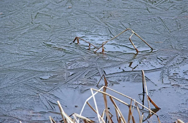 草で作られた凍った池の氷の水に素晴らしい絵 — ストック写真