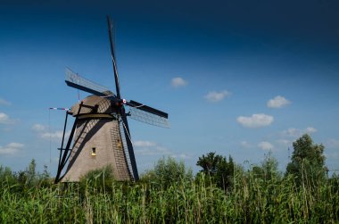 Kinderdijk, Hollanda, Ağustos 2019. Güzel bir yaz gününde, Hollanda kırsalında, uzun yeşil otlarla kaplanmış, mükemmel durumda, tarihi bir rüzgar değirmeni..