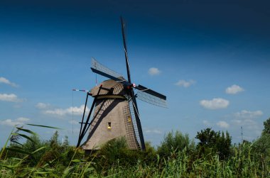 Kinderdijk, Hollanda, Ağustos 2019. Güzel bir yaz gününde, Hollanda kırsalında, uzun yeşil otlarla kaplanmış, mükemmel durumda, tarihi bir rüzgar değirmeni..