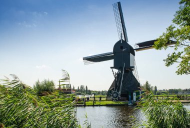 Kinderdijk, Hollanda, Ağustos 2019. Güzel bir yaz gününde, Hollanda kırsalında, uzun yeşil otlarla kaplanmış, mükemmel durumda, tarihi bir rüzgar değirmeni..