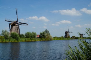 Kinderdijk, Hollanda, Ağustos 2019. Güzel bir yaz gününde, Hollanda kırsalında, uzun yeşil otlarla kaplanmış, mükemmel durumda, tarihi bir rüzgar değirmeni..