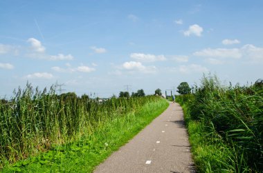 Kinderdijk, Hollanda, Ağustos 2019. Hollanda kırsalında çok yeşil çimlerle kaplı küçük bir yol esiyor. Güneşli güzel bir gün, uzaklarda bir bisikletçi görebilirsiniz..