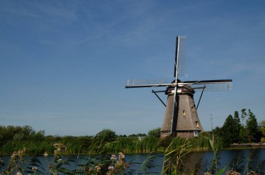 Kinderdijk, Hollanda, Ağustos 2019. Güzel bir yaz gününde, Hollanda kırsalında, uzun yeşil otlarla kaplanmış, mükemmel durumda, tarihi bir rüzgar değirmeni..