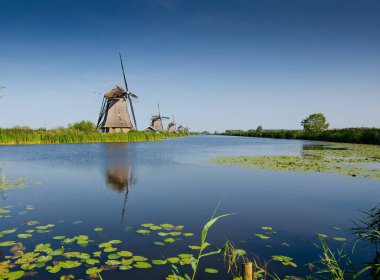 Kinderdijk, Hollanda, Ağustos 2019. Güzel bir yaz gününde, tipik bir manzarayla karşılaşırız. Hollanda kırsalında, mükemmel durumda, tarihi yel değirmenleri kanallarla kaplıdır. .