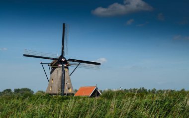 Kinderdijk, Hollanda, Ağustos 2019. Güzel bir yaz gününde, Hollanda kırsalında, uzun yeşil otlarla kaplanmış, mükemmel durumda, tarihi bir rüzgar değirmeni..