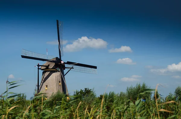 Kinderdijk, Hollanda, Ağustos 2019. Güzel bir yaz gününde, Hollanda kırsalında, uzun yeşil otlarla kaplanmış, mükemmel durumda, tarihi bir rüzgar değirmeni..