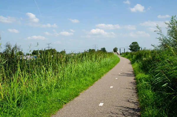 Kinderdijk, Hollanda, Ağustos 2019. Hollanda kırsalında çok yeşil çimlerle kaplı küçük bir yol esiyor. Güzel güneşli bir gün