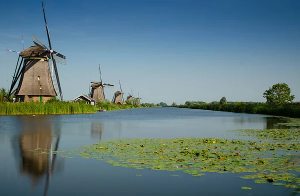 Kinderdijk Nizozemsko Srpen2019 Krásného Letního Dne Typická Krajina Místa Historické — Stock fotografie