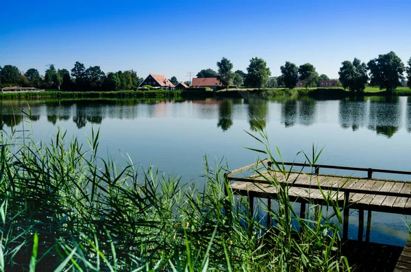 オランダへ行け オランダの田舎の湖の風景 葦木製の桟橋と交互に 鬱蒼とした森が湖を取り囲む 緑がシーンを支配しています 夏の日 夕方に向かって — ストック写真