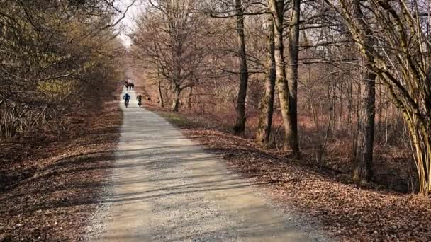Evdeki Hayattan Kaçmak Güzel Kış Günü Insanların Bisikletle Yürüyerek Ormanın — Stok video