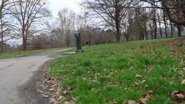Punto Vista Del Perro Paseando Por Parque Camina Sobre Hierba — Vídeos de Stock