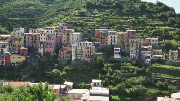 Manarola Ligurie Itálie Červen 2020 Úžasné Záběry Vesnice Cesty Dřevěným — Stock video