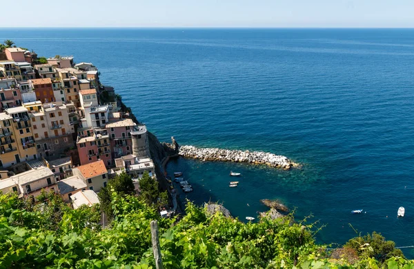 Manarola Ligurien Italien Juni 2020 Fantastisk Utsikt Över Kustbyn Färgade — Stockfoto