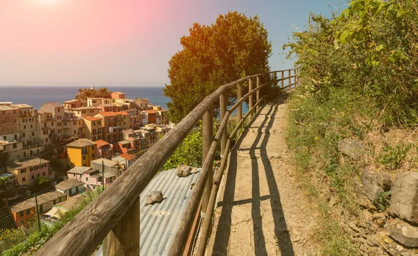 Manarola Ligurien Italien Juni 2020 Panoramautsikt Över Kustbyn Panoramavägen Löper — Stockfoto