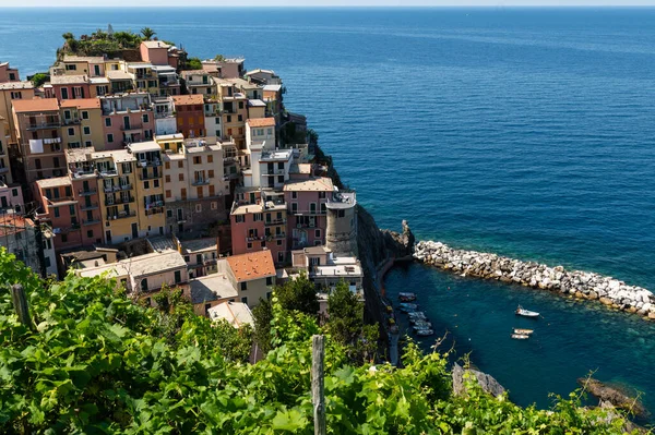 Manarola Ligurien Italien Juni 2020 Fantastisk Utsikt Över Kustbyn Färgade — Stockfoto