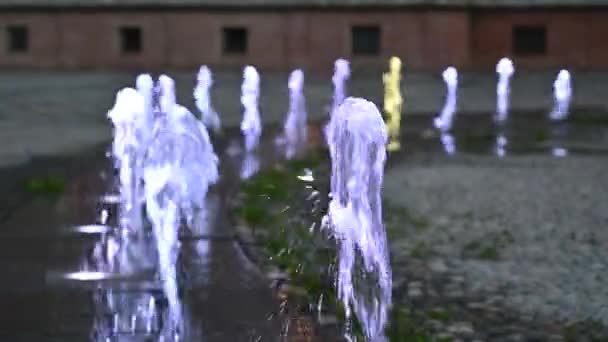 ヴェナリア レアル ピエモンテ イタリア 2021年7月 黄金の時間に虹色の水ゲーム 噴水のジェットの特定のLed照明は 日没の光とおとぎ話のような雰囲気を作り出します — ストック動画