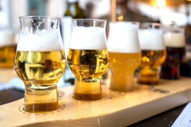 İçkinin beş farklı renk ve opaklığıyla bira tatma. Bira fabrikasının bulanık ve ayırt edilemez arkaplanı.