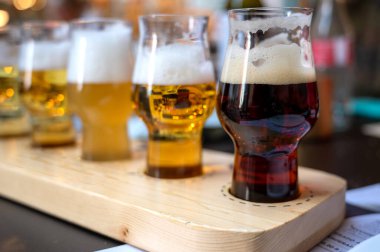 İçkinin beş farklı renk ve opaklığıyla bira tatma. Bira fabrikasının bulanık ve ayırt edilemez arkaplanı.