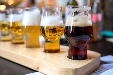 İçkinin beş farklı renk ve opaklığıyla bira tatma. Bira fabrikasının bulanık ve ayırt edilemez arkaplanı.