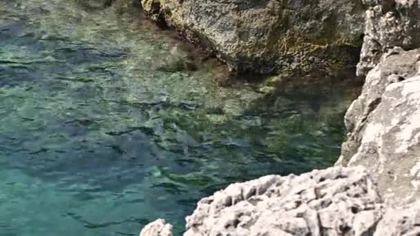 Riprese Ravvicinate Del Mare Turchese Delle Coste Pugliesi Trasparenza Possono — Video Stock