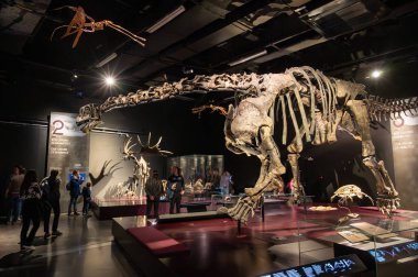 Lyon, Fransa. 27 Aralık 2023. Ziyaretçiler, aralarında bir diplodocus ve Confluence Müzesi 'ndeki diğer tarih öncesi eserlerin de yer aldığı büyük dinozor iskeletlerini görüyorlar..