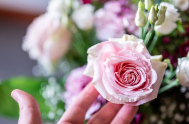 Nazikçe dokunan pembe gül tomurcuğu, taze yaprakların ve çeşitli çiçeklerin canlı renklerinin tadını çıkarıyor, zarafeti ve doğal güzelliği simgeliyor.