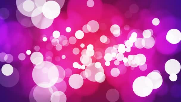 Broadcast Light Bokeh, Magenta Purple, Eventos, Loopable, Gran Pito — Vídeos de Stock