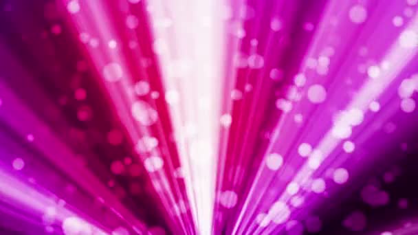 Lumière De Diffusion Bokeh, Magenta, Événements, Boucle, En Haute Qualité 