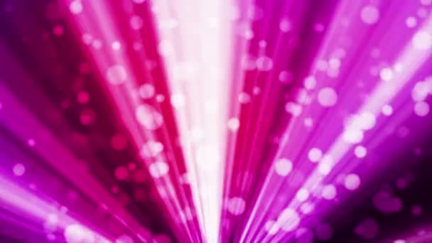 Uitzending licht bokeh, magenta, evenementen, loop bare, HD — Stockvideo