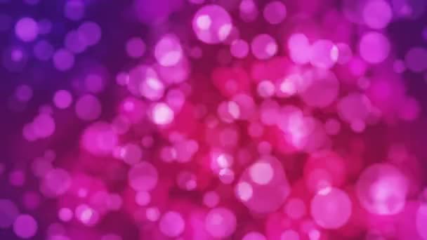 Broadcast Light Bokeh, Magenta Purple, Eventos, Loopable, Gran Pito — Vídeo de stock