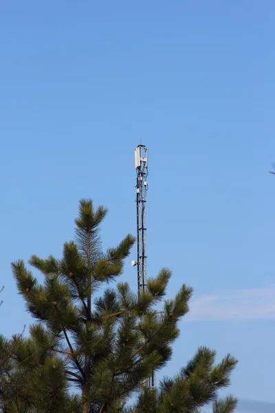 Antenn tornet av cellulära i en skog — Stockfoto