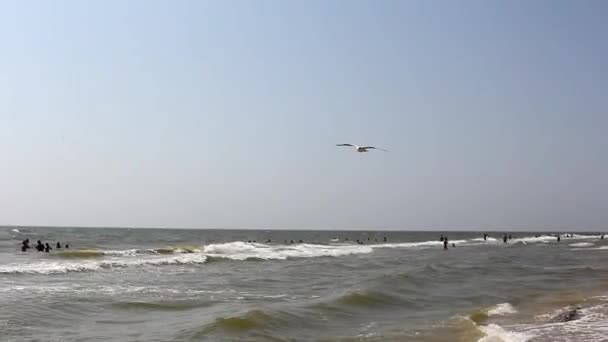 Mewa latająca nad morzem — Wideo stockowe